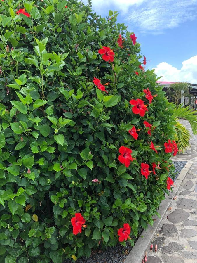 Lovely Apartment In Flic En Flac, Close To The Beach And All Amenities. ภายนอก รูปภาพ